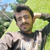 Wicky 
