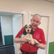 John The Vet
