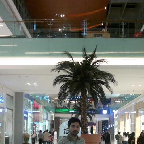 johndxb