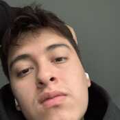 David