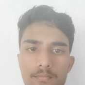 kittu