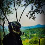 HappyJester