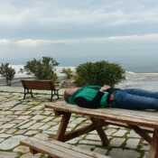 Terra now 