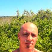 IntelligentWriter77e0de