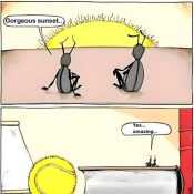 bfddgccbebgdefja