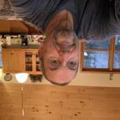 InsightfulDaydre2d86