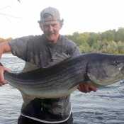 GREATCATCH