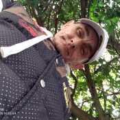 Jangal