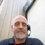 Silver fox