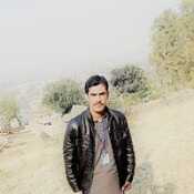 Sulman