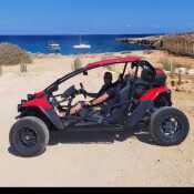 RadiantTeacher565e0b