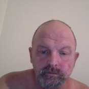 timster