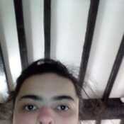 Roya74
