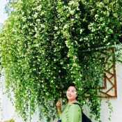 laeya