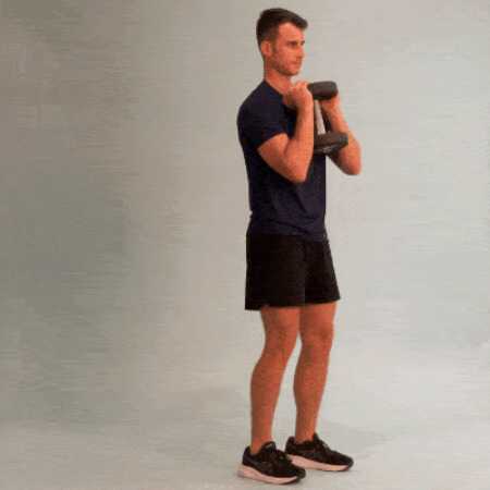 Brinjal  profile photo