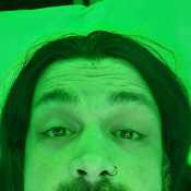 Califournier1