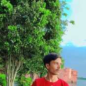 Ayan 