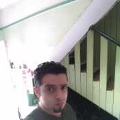 Shelbaia