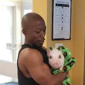 Vegan Rebel