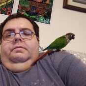 Parrot owner