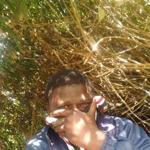 FunnyProfessional83b86d