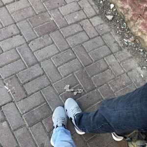 bbcfdbiebhfcedec