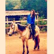 Neverdown3