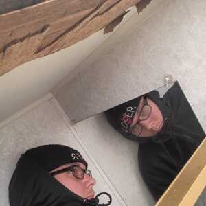 CleverLover17