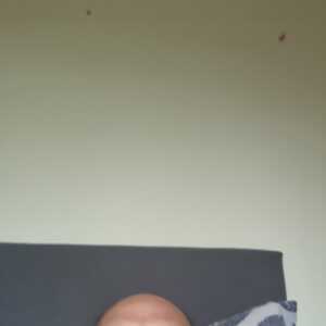 iebeedefifhbehjb