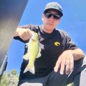 OnTheFly