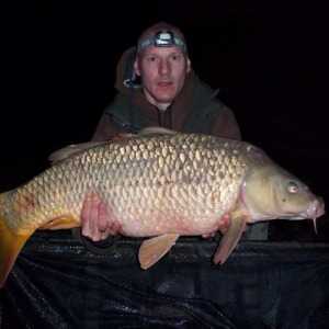 carpcarp2233