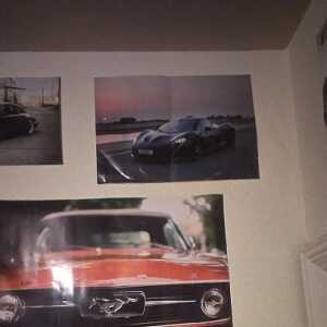 Danny458449