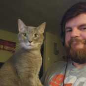 RiskyBiscuits