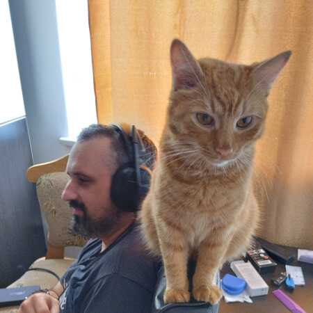 The Watcher profile photo