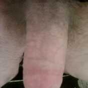 EndearingClimber41b6eb