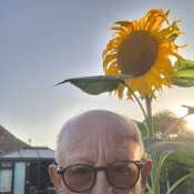 Slimjim
