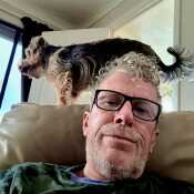 Dazadadog