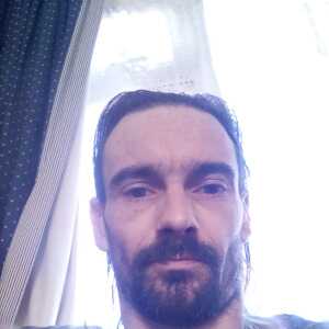 ConfidentSharkibbgfe