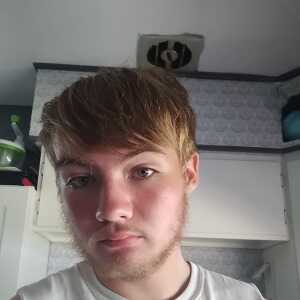 PlayfulProfessionalddbbcg