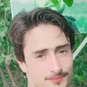 Ziakhanoo7 