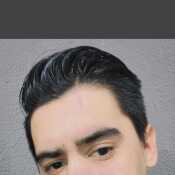 Alan guess 