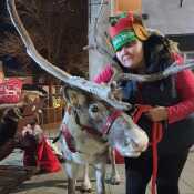 Reindeergirl  