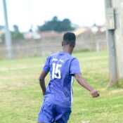 Junior Jr
