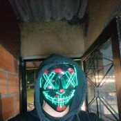 Danitoo