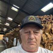 Tobacco farmer