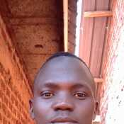 BENSON 256