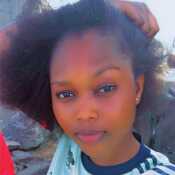 Tracy 
