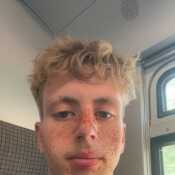 Tibo