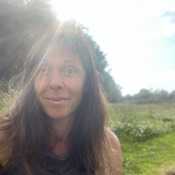 Shy acre 