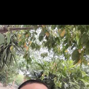 SympatheticGardener32cd16